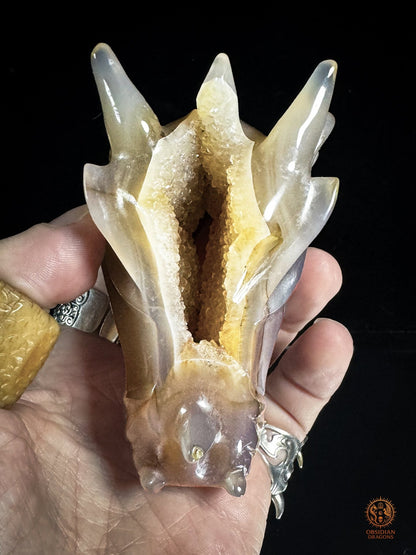 Crâne de dragon en géode de quartz – Lumière intérieure | obsidian dragons