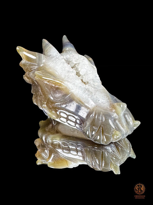 Crâne de dragon en agate, géode de quartz - Faille de lumière | obsidian dragons