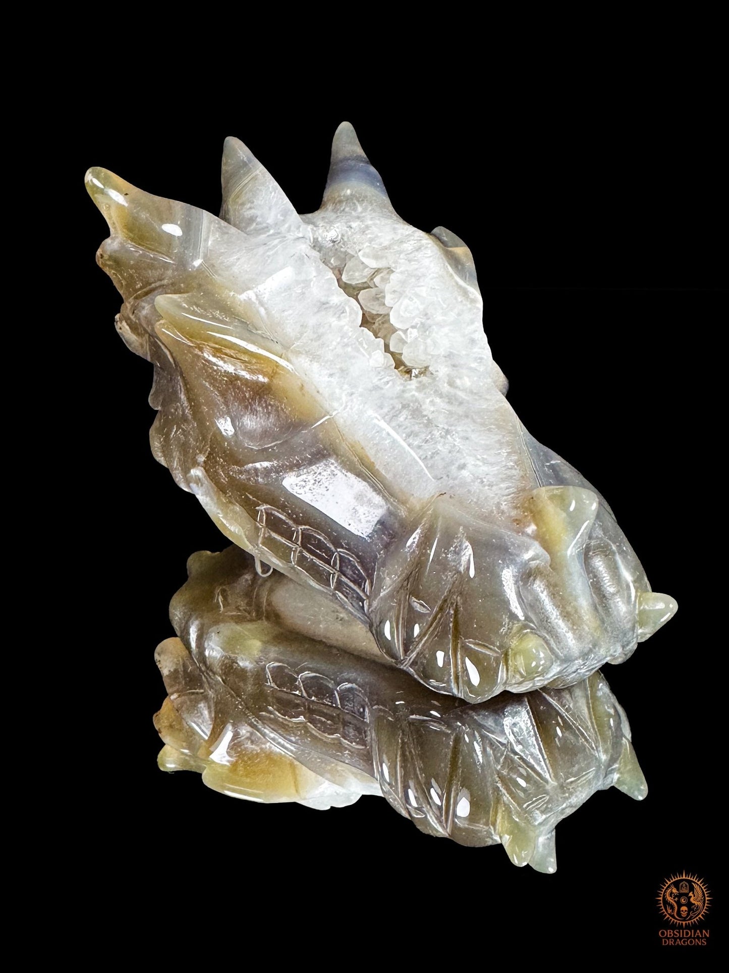 Crâne de dragon en agate, géode de quartz - Faille de lumière | obsidian dragons