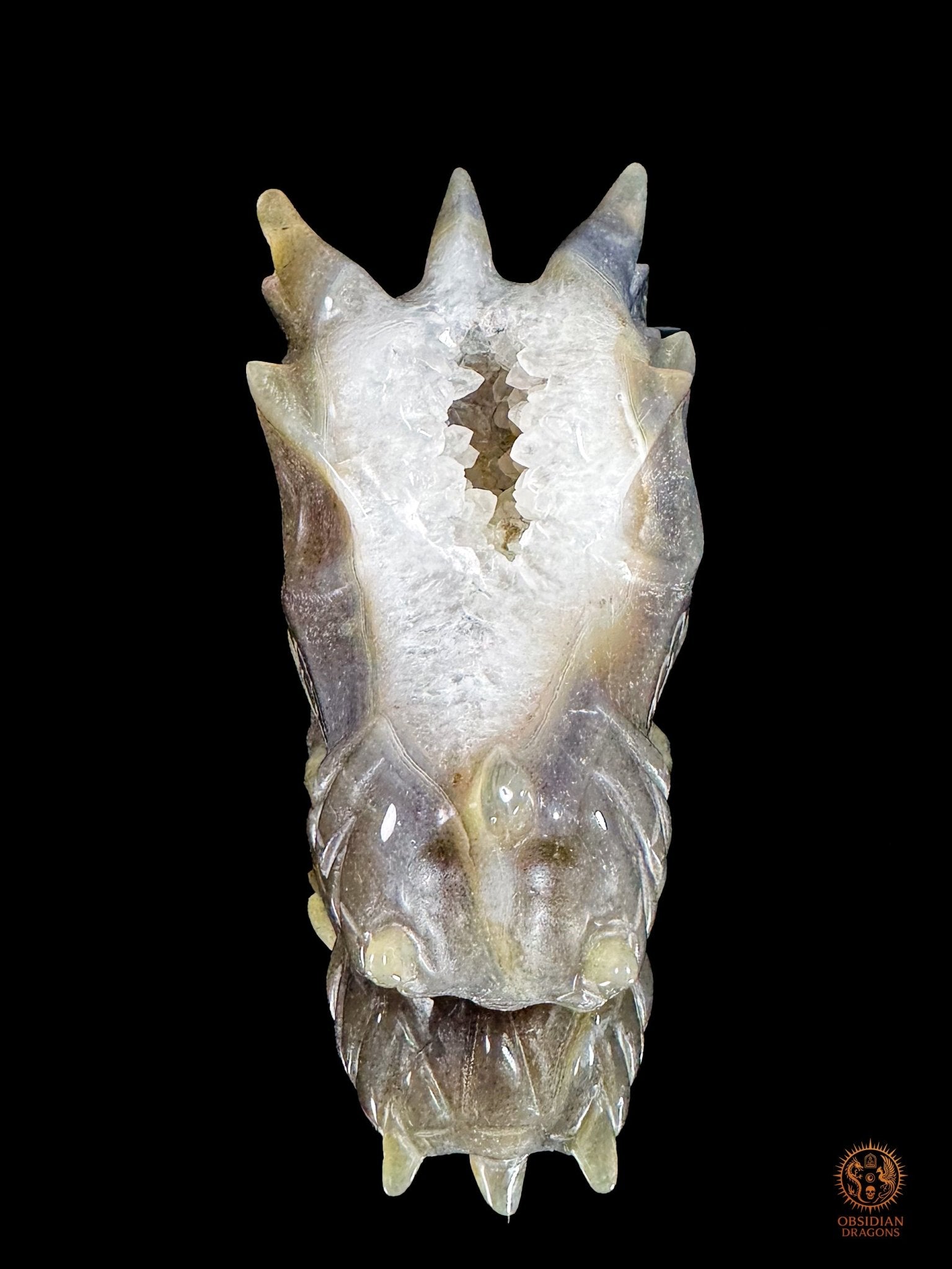 Crâne de dragon en agate, géode de quartz - Faille de lumière | obsidian dragons
