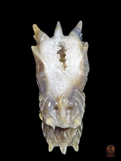 Crâne de dragon en agate, géode de quartz - Faille de lumière | obsidian dragons