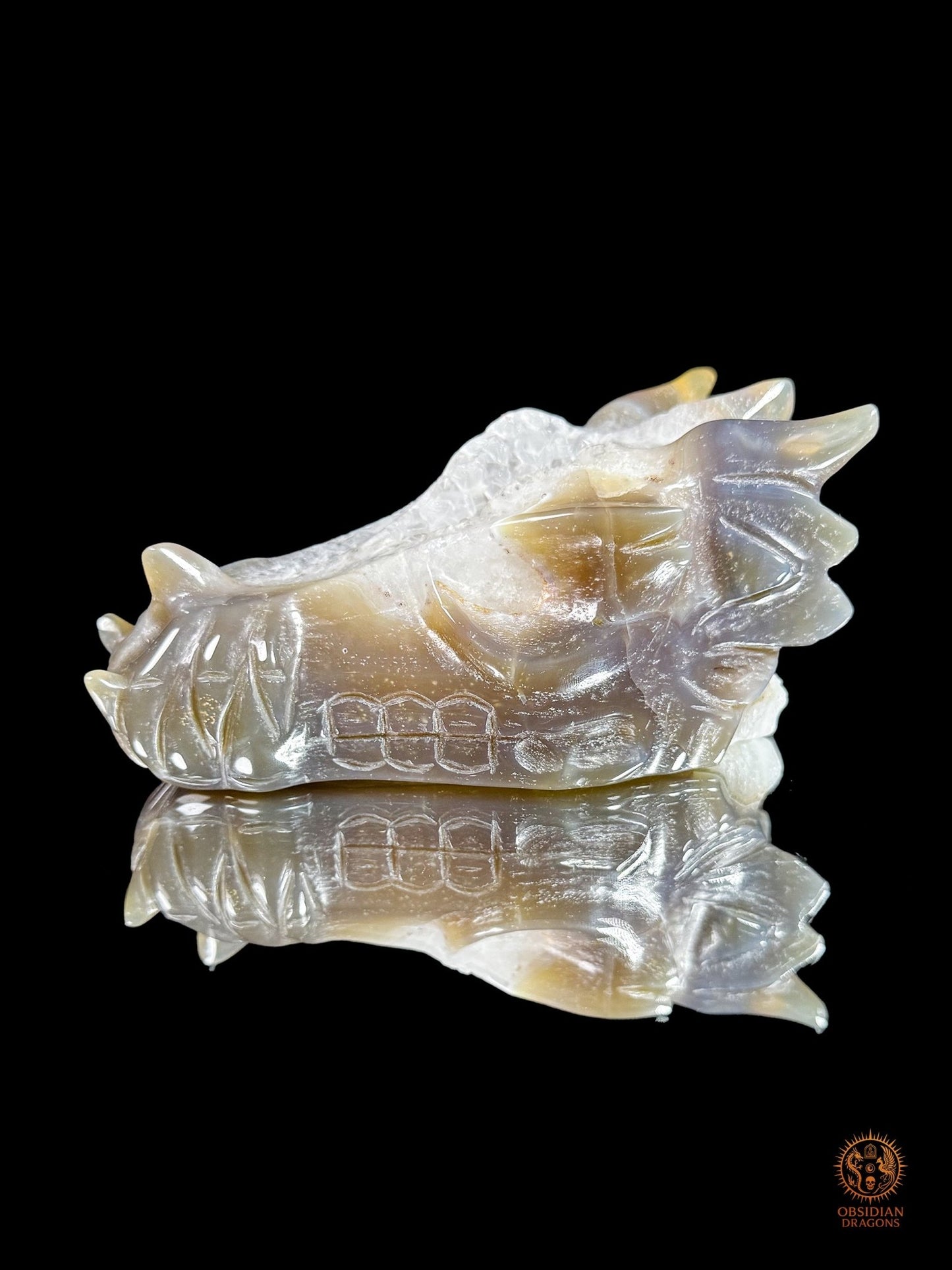 Crâne de dragon en agate, géode de quartz - Faille de lumière | obsidian dragons