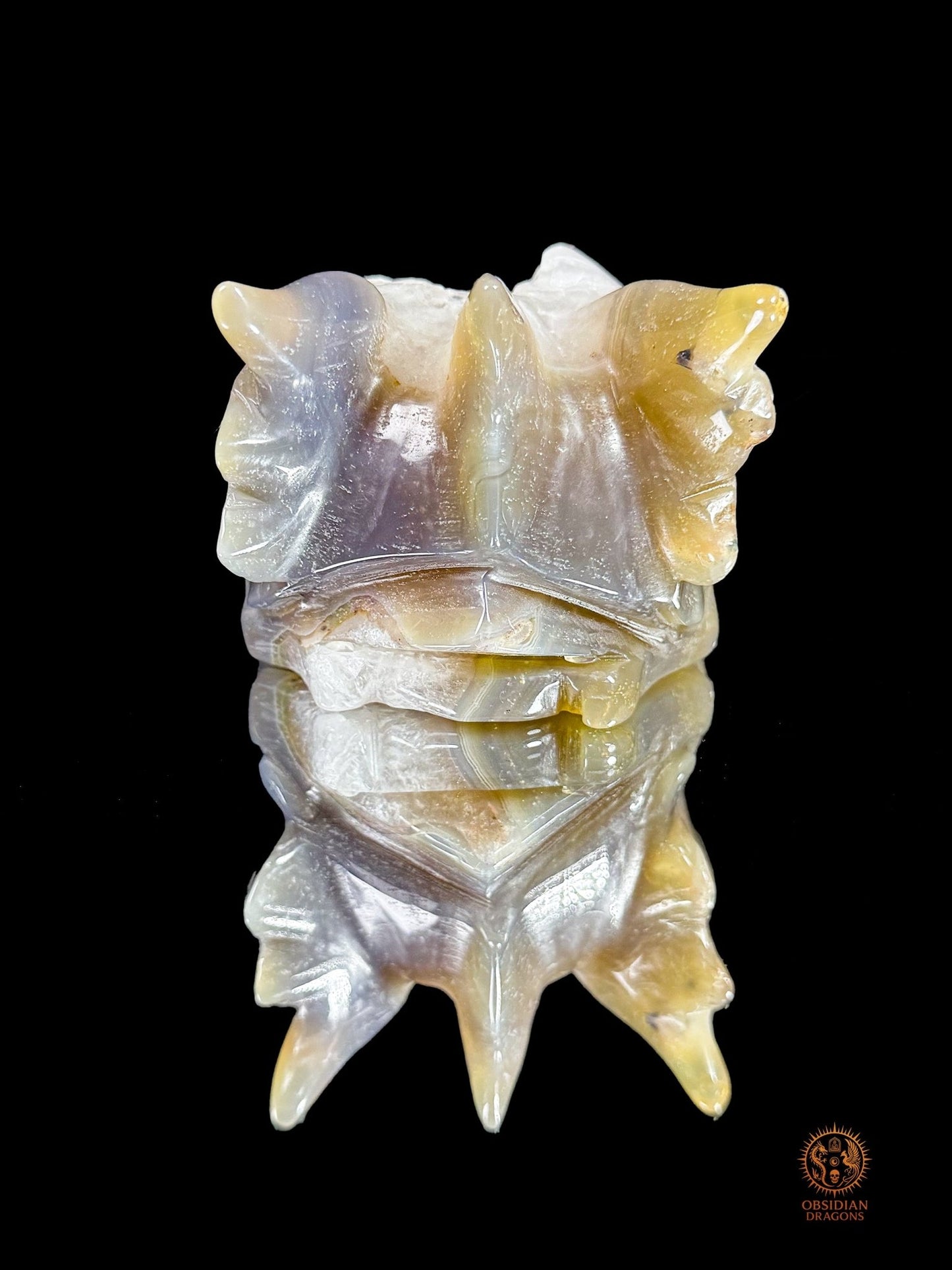 Crâne de dragon en agate, géode de quartz - Faille de lumière | obsidian dragons