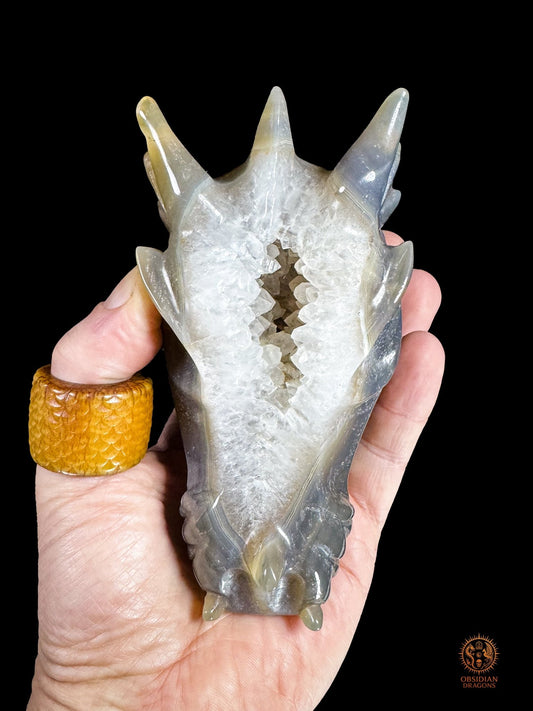 Crâne de dragon en agate, géode de quartz - Faille de lumière | obsidian dragons