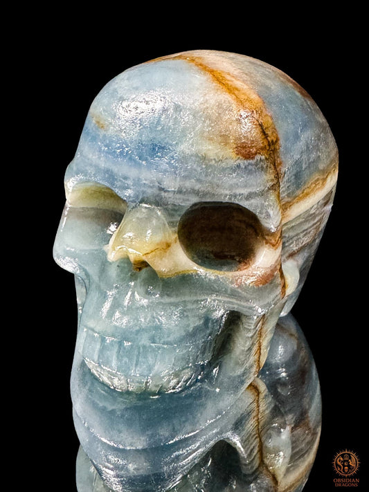 Crâne en agate bleue naturelle de Madagascar vu de trois quarts, avec une ligne ocre sur le front et des bandes blanches - Obsidian Dragons