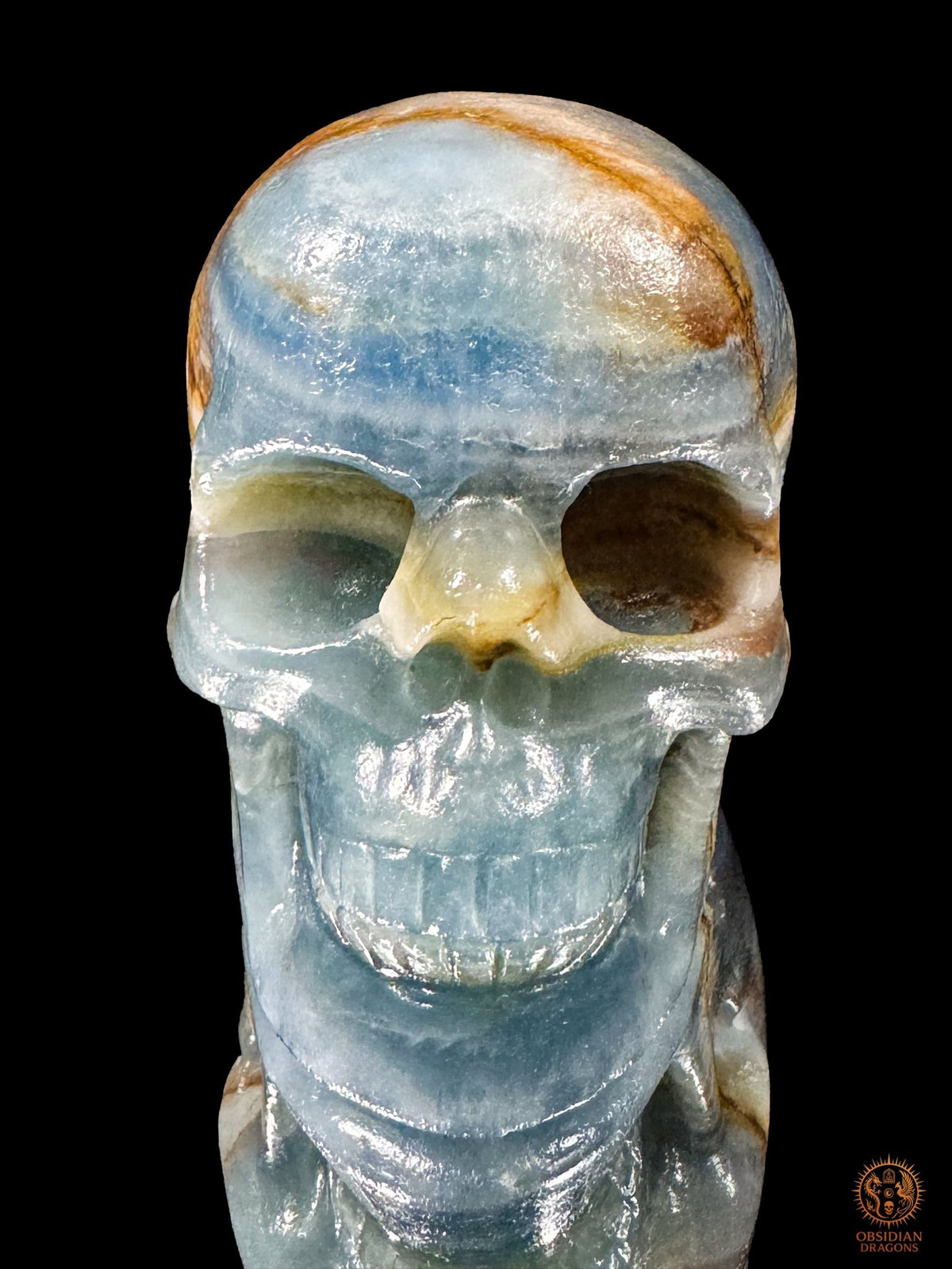 Vue de face d’un crâne en agate bleue naturelle, avec un nez crème, des orbites creusées et une dentition sculptée - Obsidian Dragons