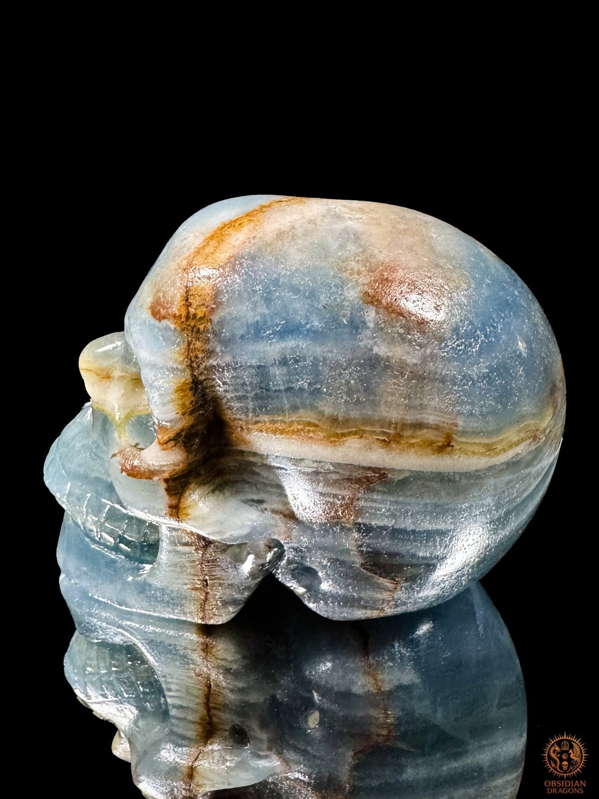 Profil d’un crâne en agate bleue naturelle, visage tourné vers la gauche, traversé de bandes blanches et ocres.