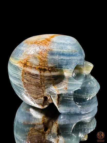 Crâne en agate bleue vu de profil, visage tourné vers la droite, avec de larges motifs bruns et ocres sur la tempe.