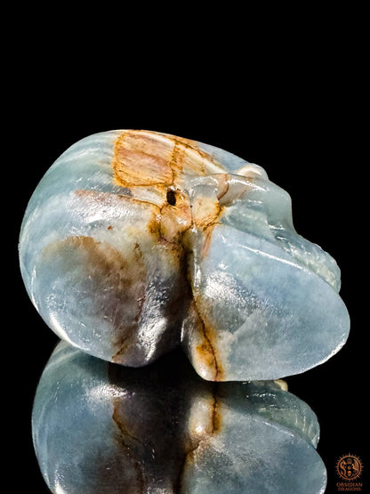 Vue du dessous d’un crâne en agate bleue naturelle couché, montrant la base polie et les passages ocres de la pierre.
