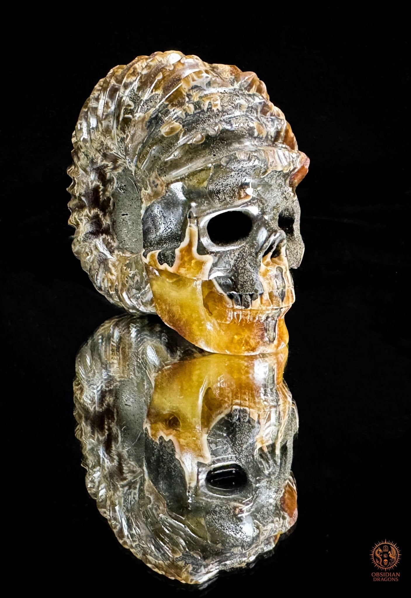 crâne en ammonite fossile agatisée - sculpture exceptionnelle | obsidian dragons