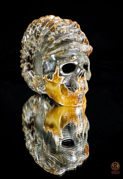 crâne en ammonite fossile agatisée - sculpture exceptionnelle | obsidian dragons