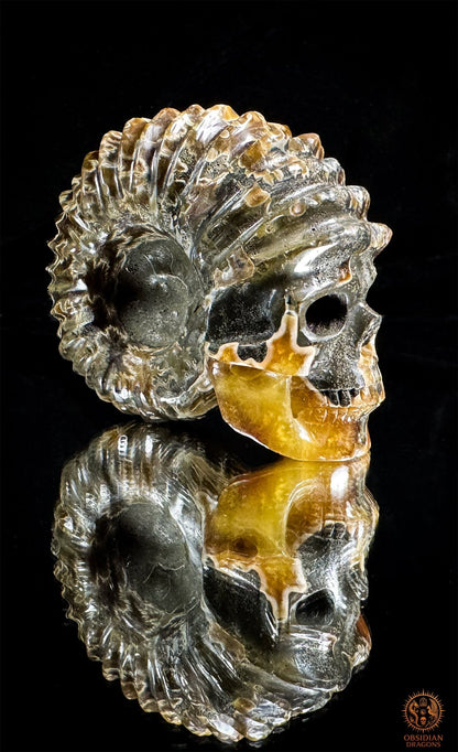 crâne en ammonite fossile agatisée - sculpture exceptionnelle | obsidian dragons