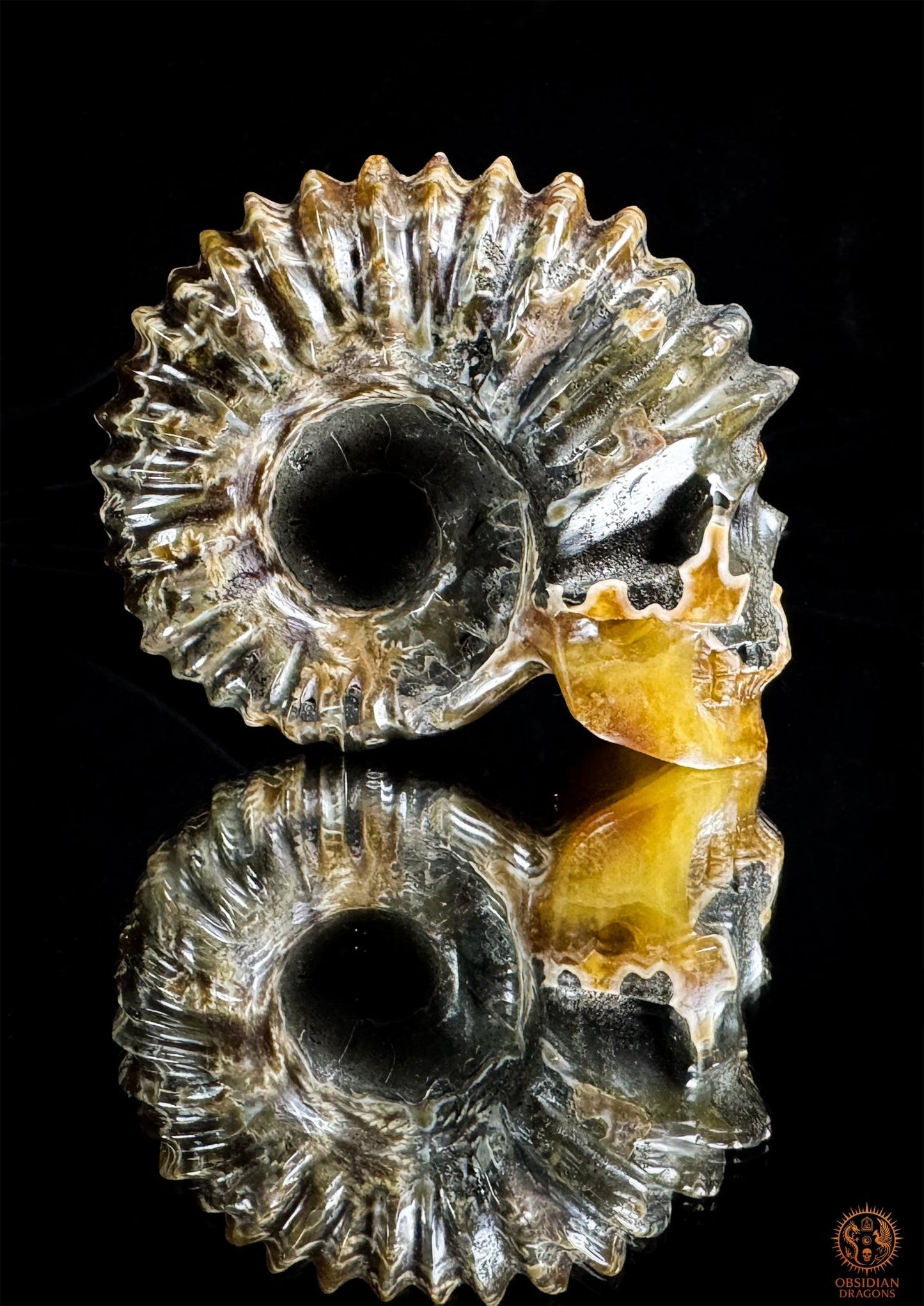 crâne en ammonite fossile agatisée - sculpture exceptionnelle | obsidian dragons