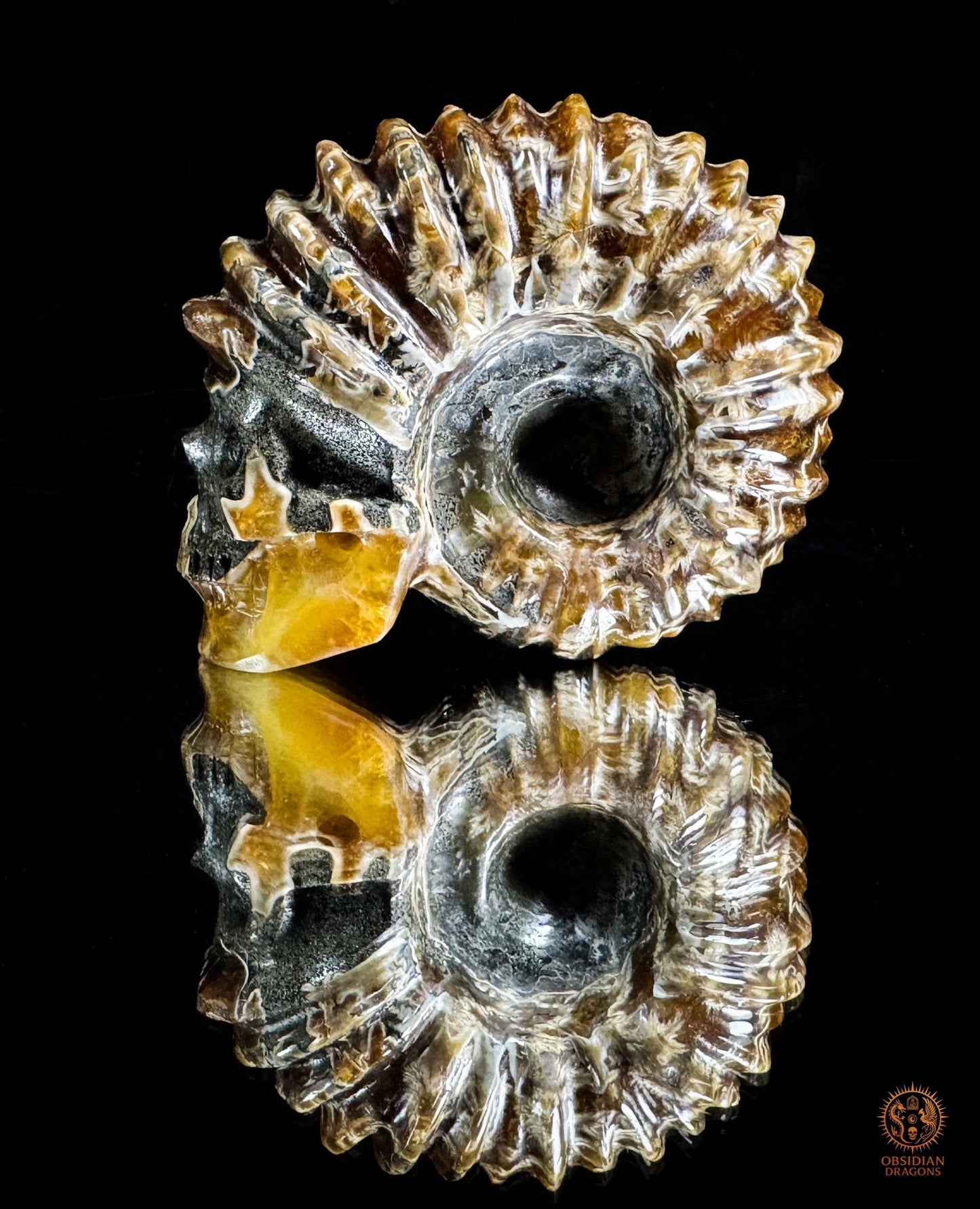 crâne en ammonite fossile agatisée - sculpture exceptionnelle | obsidian dragons