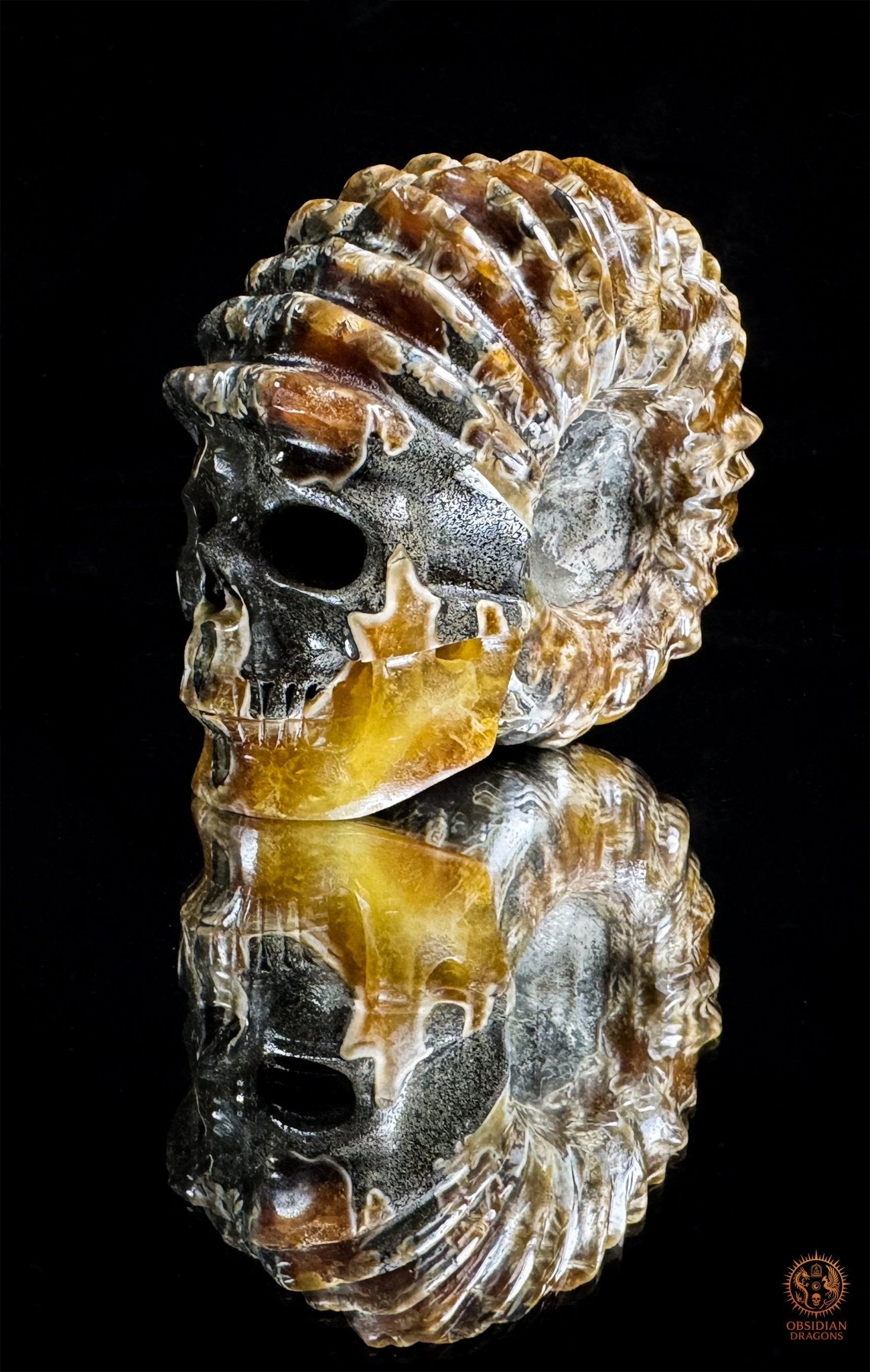 crâne en ammonite fossile agatisée - sculpture exceptionnelle | obsidian dragons