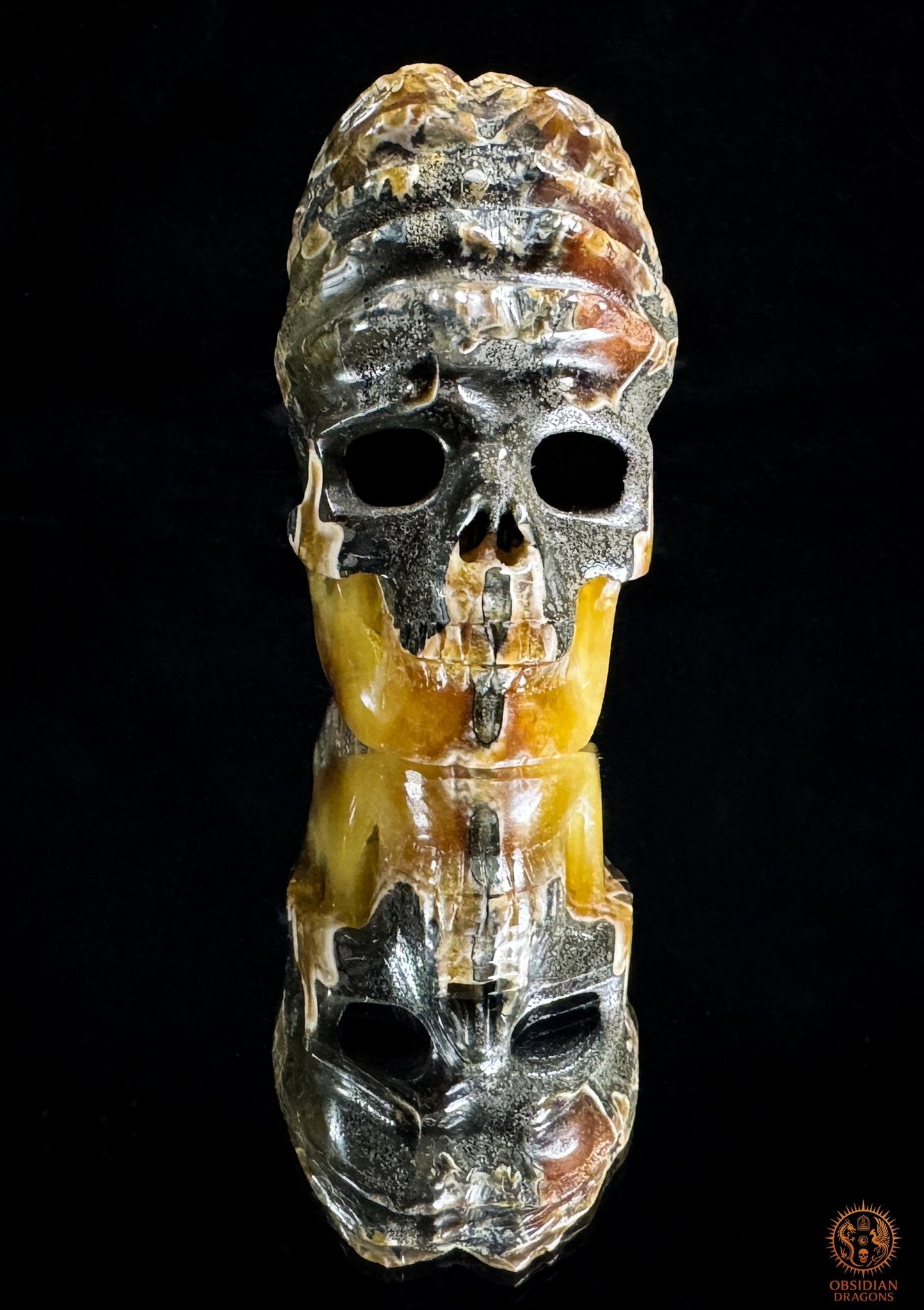 crâne en ammonite fossile agatisée - sculpture exceptionnelle | obsidian dragons