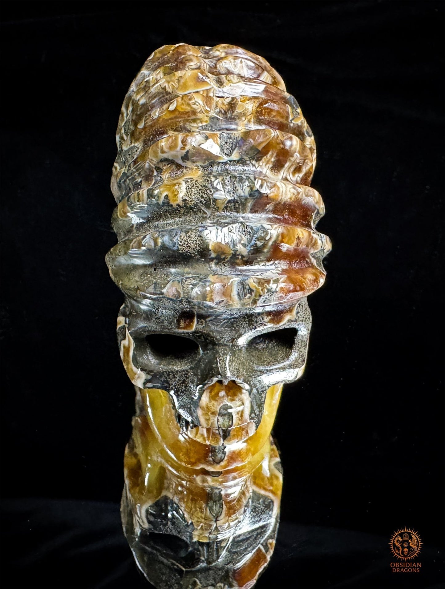 crâne en ammonite fossile agatisée - sculpture exceptionnelle | obsidian dragons