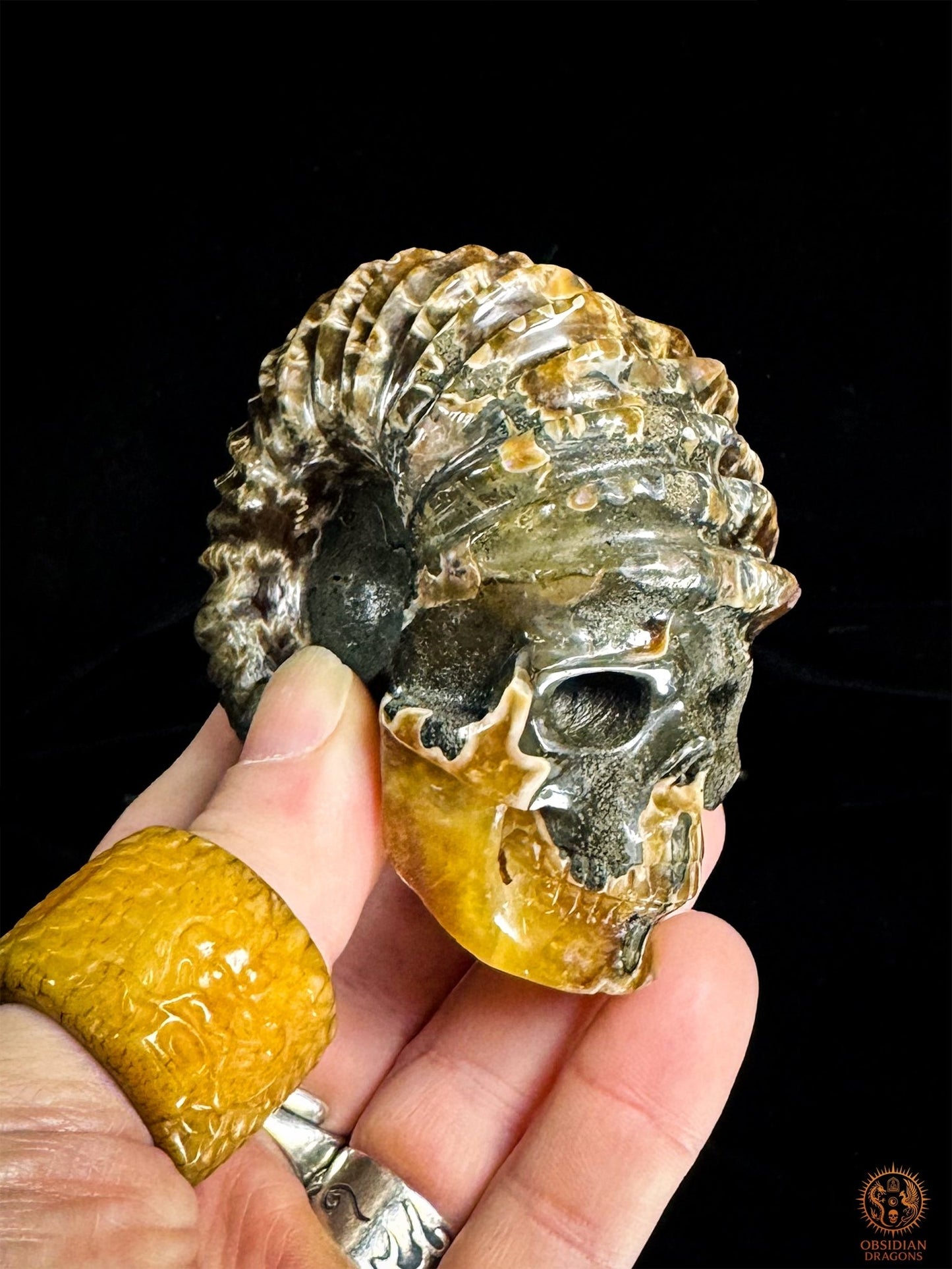 crâne en ammonite fossile agatisée - sculpture exceptionnelle