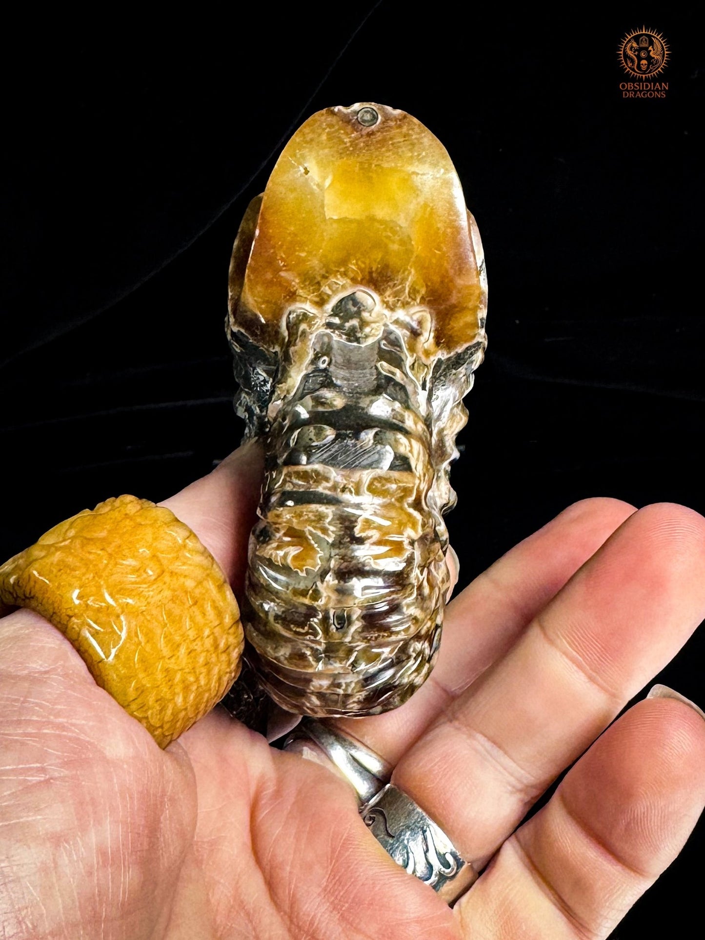 crâne en ammonite fossile agatisée - sculpture exceptionnelle