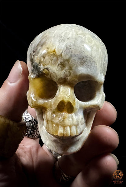 Crâne en corail fossile d’Indonésie tenu dans la main, vu de face, avec ses orbites profondes et sa dentition sculptée - Obsidian Dragons