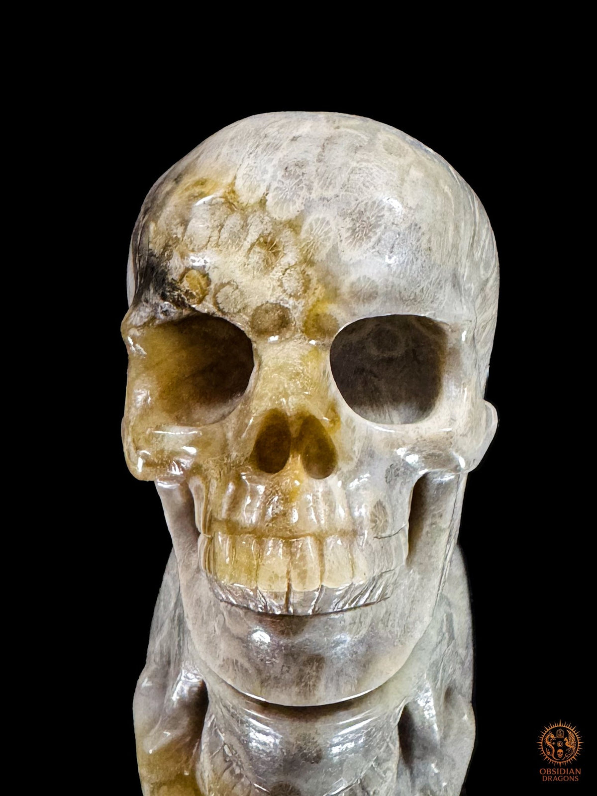 Crâne en corail fossile d’Indonésie vu de face, avec ses orbites sombres, sa dentition gravée et ses nuances crème et ocre.