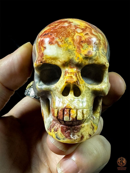 Crâne en jaspe polychrome de 7 cm présenté de face dans une main, montrant les couleurs rouges et jaunes et les dents sculptées - Obsidian Dragons