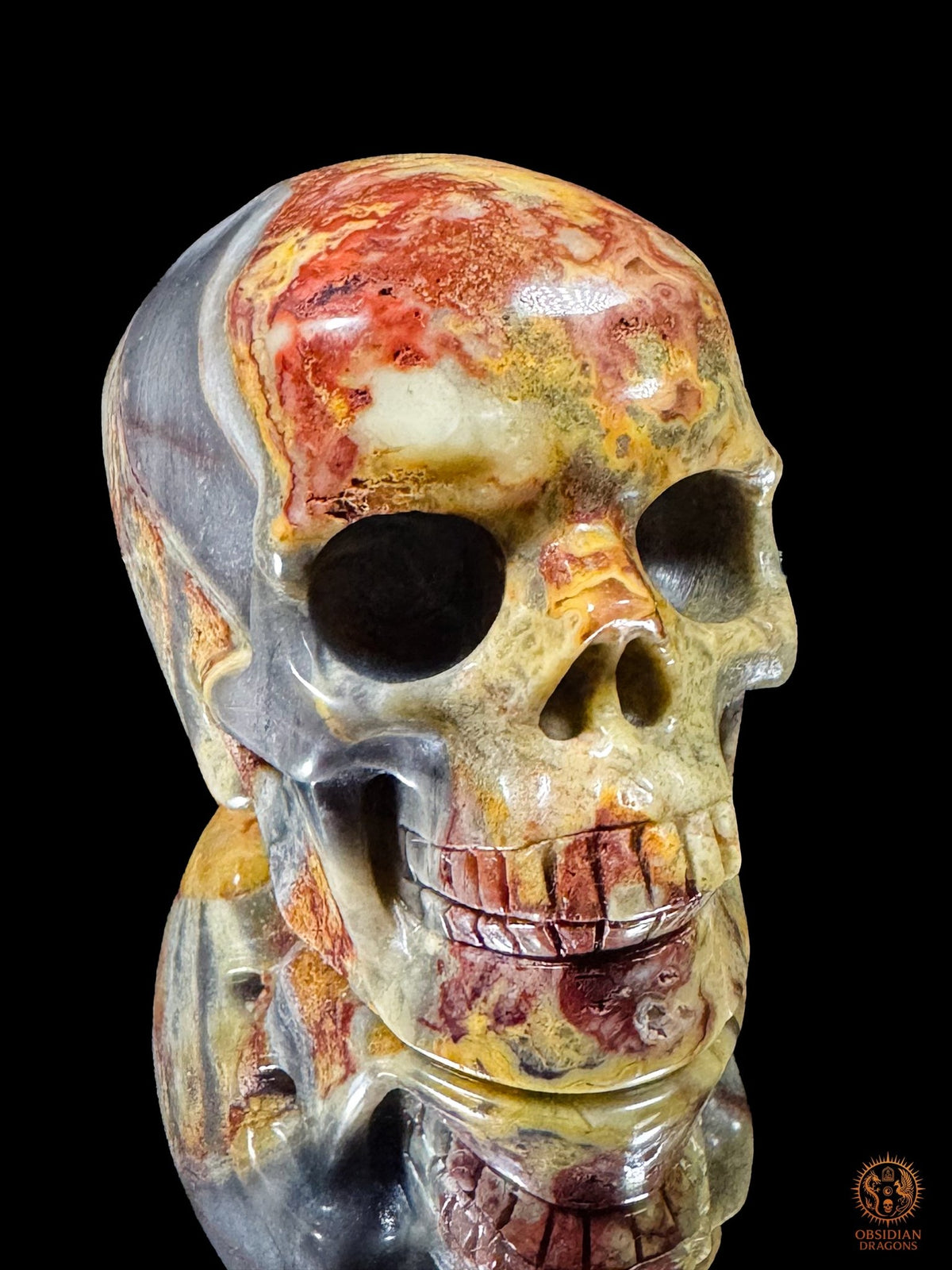 Crâne en jaspe polychrome vu de trois quarts, visage tourné vers la droite, avec une large plage grise sur la tempe - Obsidian Dragons
