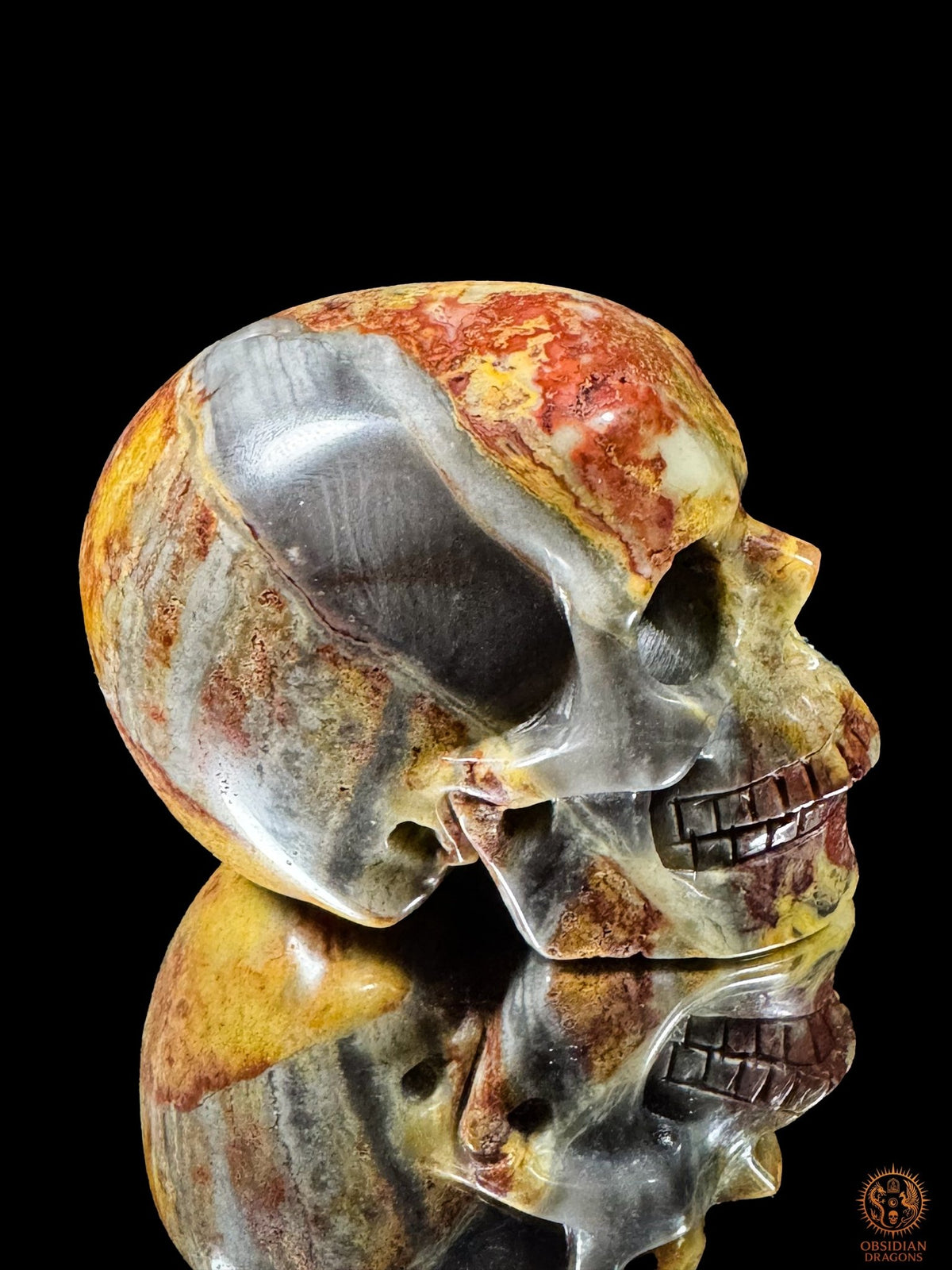 Crâne en jaspe polychrome vu de profil, visage tourné vers la droite, avec une grande plage gris bleuté sur la tempe.