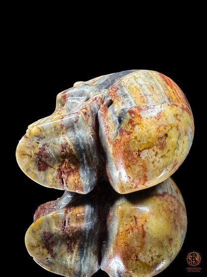 Vue oblique d’un crâne en jaspe polychrome couché, aux motifs jaunes, rouges et gris visibles sur la mâchoire et la calotte.