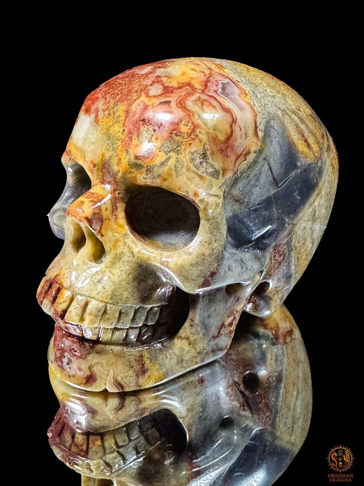 Crâne en jaspe polychrome vu de trois quarts en plongée, montrant les contours rouges et ocres du front et la tempe grise.