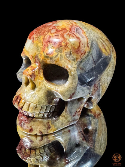 Crâne en jaspe polychrome vu de trois quarts en plongée, montrant les contours rouges et ocres du front et la tempe grise.