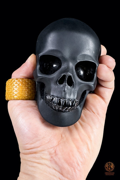 Crâne en obsidienne noire hyper réaliste mat et miroir | obsidian dragons