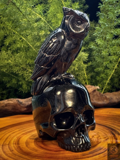 Crâne en obsidienne noire surmonté d’un hibou, sculpture artisanale en obsidienne naturelle du Mexique, vue trois-quarts - Obsidian Dragons