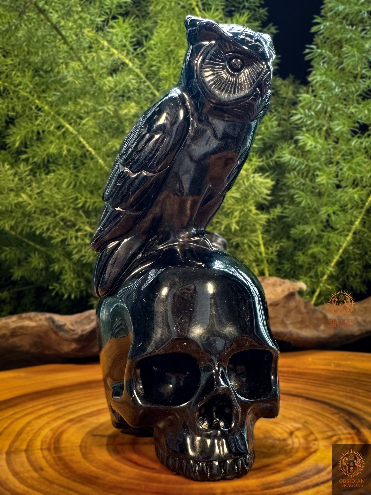 Crâne en obsidienne surmonté d’un hibou sculpté à la main, pièce unique en obsidienne noire naturelle du Mexique, vue de face