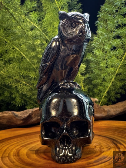 Sculpture crâne et hibou en obsidienne noire naturelle du Mexique, memento mori artisanal sculpté dans un seul bloc - Obsidian Dragons