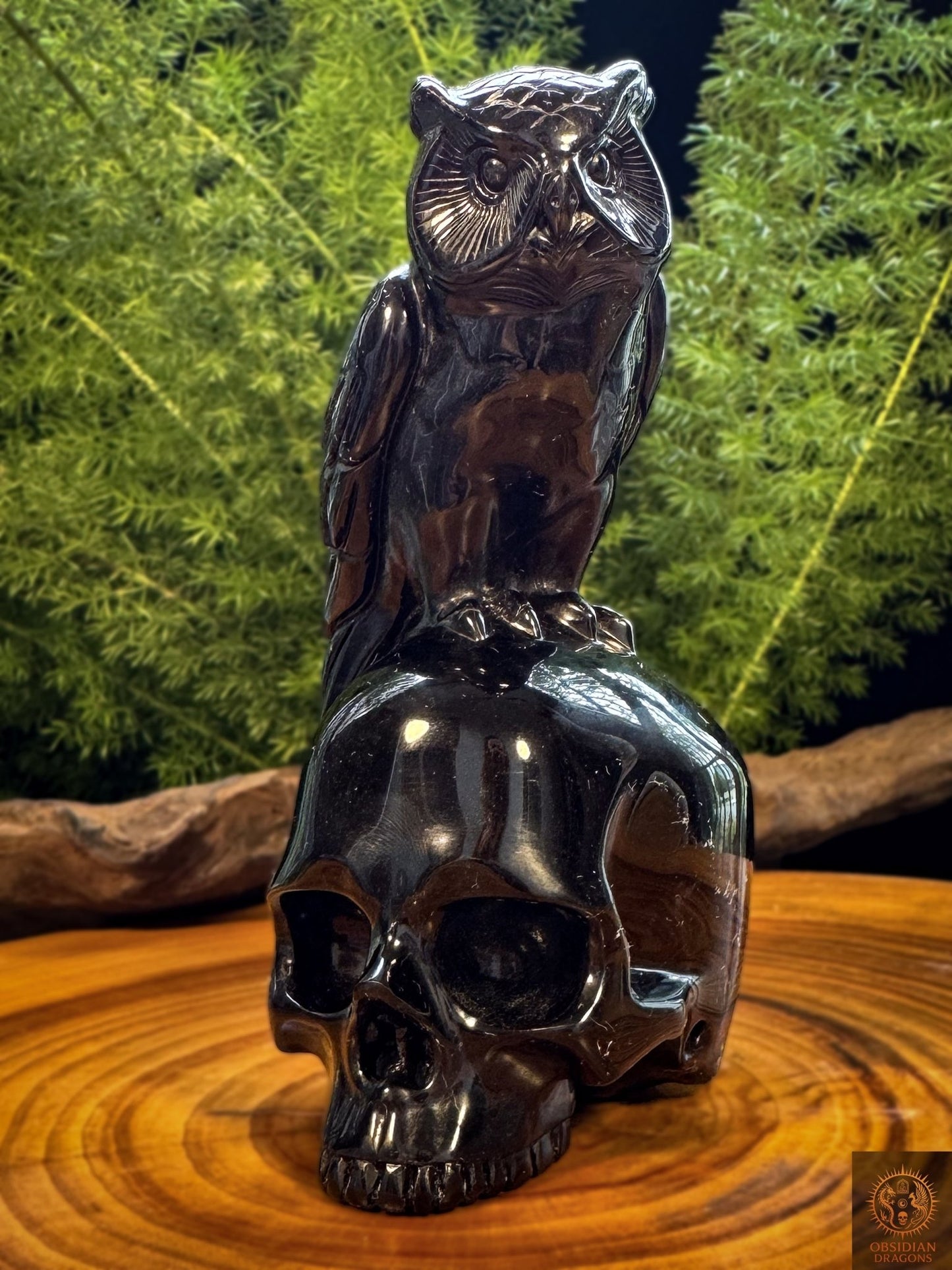 Crâne en obsidienne noire avec hibou perché, sculpture ésotérique artisanale en pierre volcanique naturelle, vue trois-quarts
