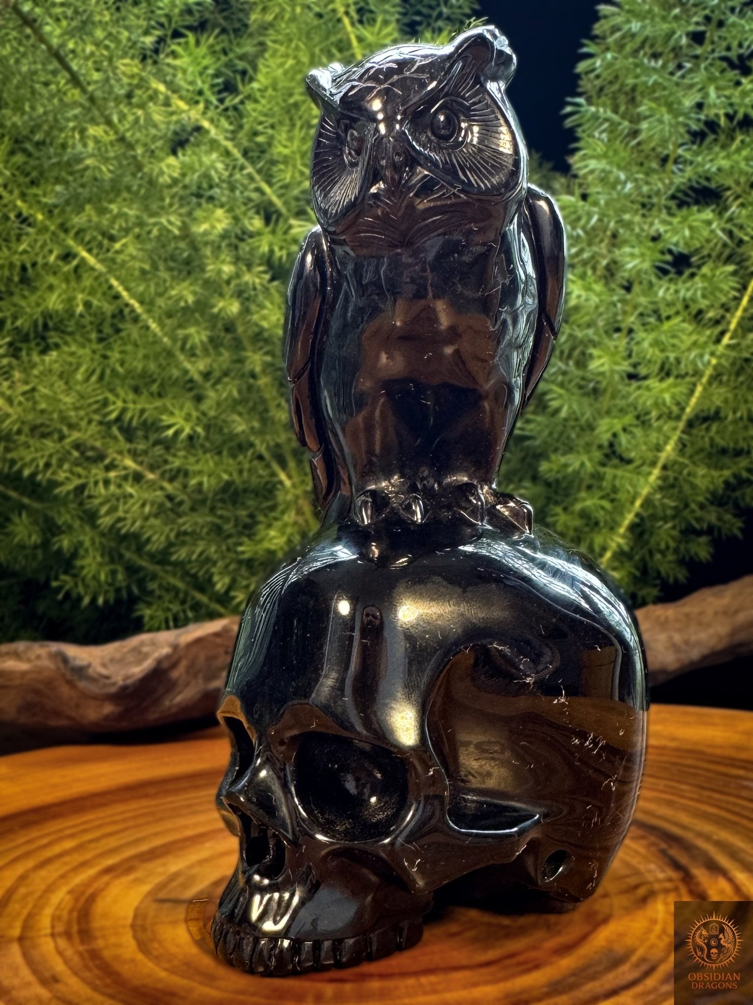 Crâne sculpté en obsidienne noire surmonté d’un hibou, sculpture artisanale mexicaine en pierre naturelle, vue latérale