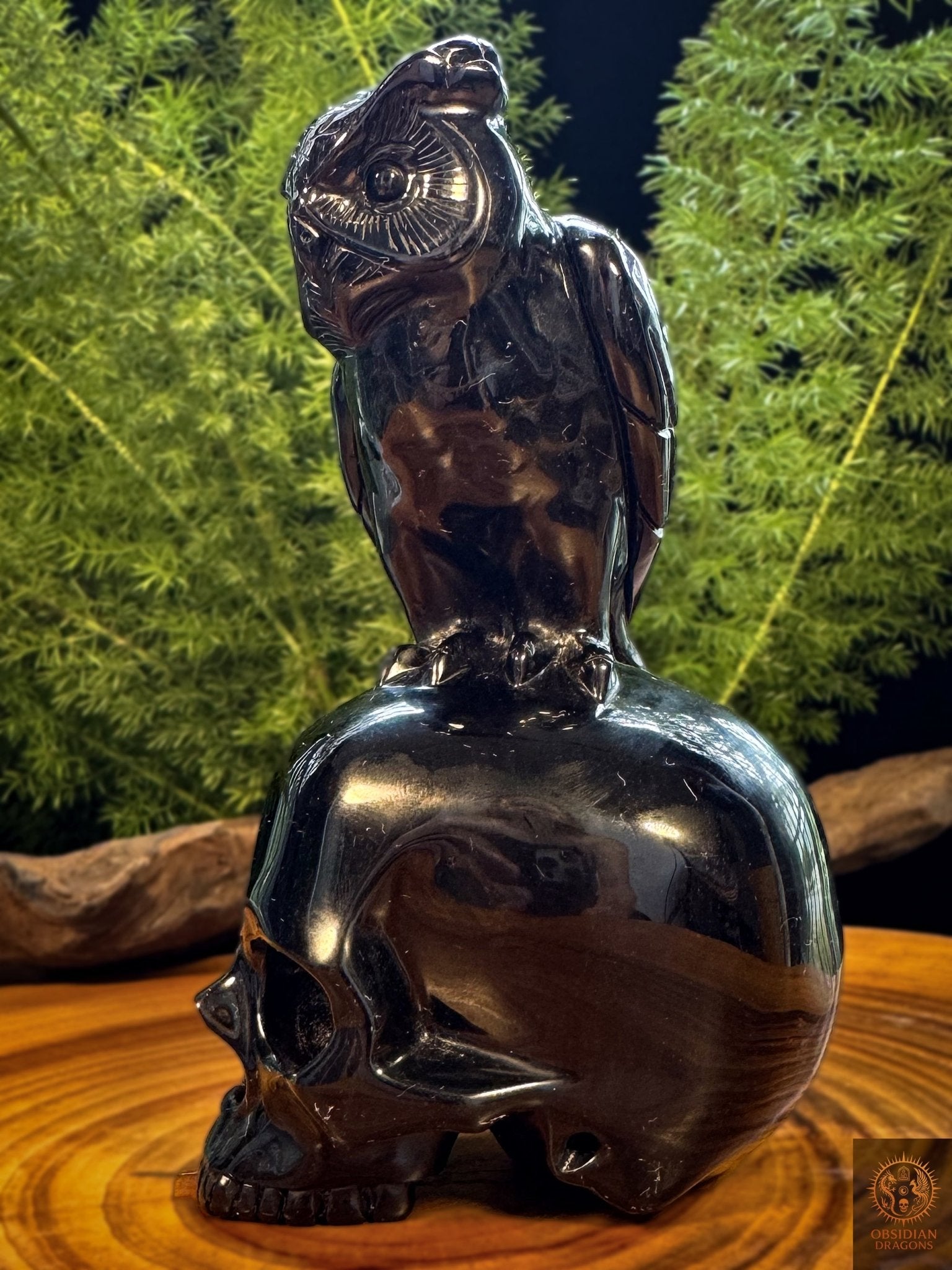 Profil d’un crâne en obsidienne noire avec hibou sculpté, sculpture minérale artisanale et memento mori en obsidienne du Mexique