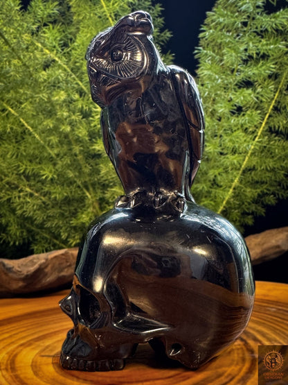 Profil d’un crâne en obsidienne noire avec hibou sculpté, sculpture minérale artisanale et memento mori en obsidienne du Mexique