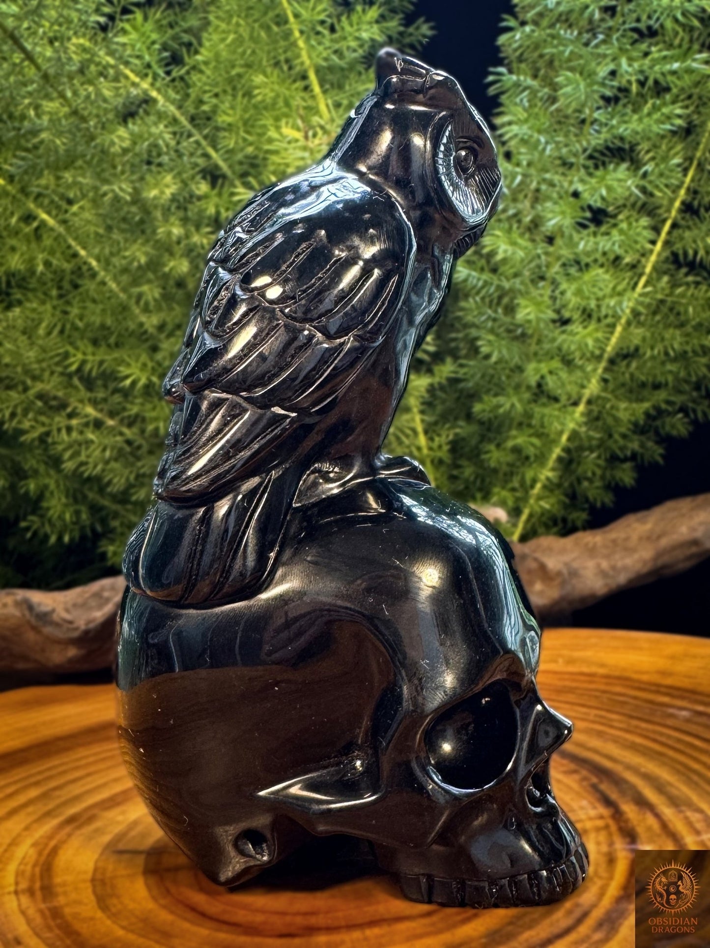 Crâne en obsidienne naturelle et hibou sculpté à la main, vue de profil montrant le plumage et le poli miroir de l’obsidienne noire