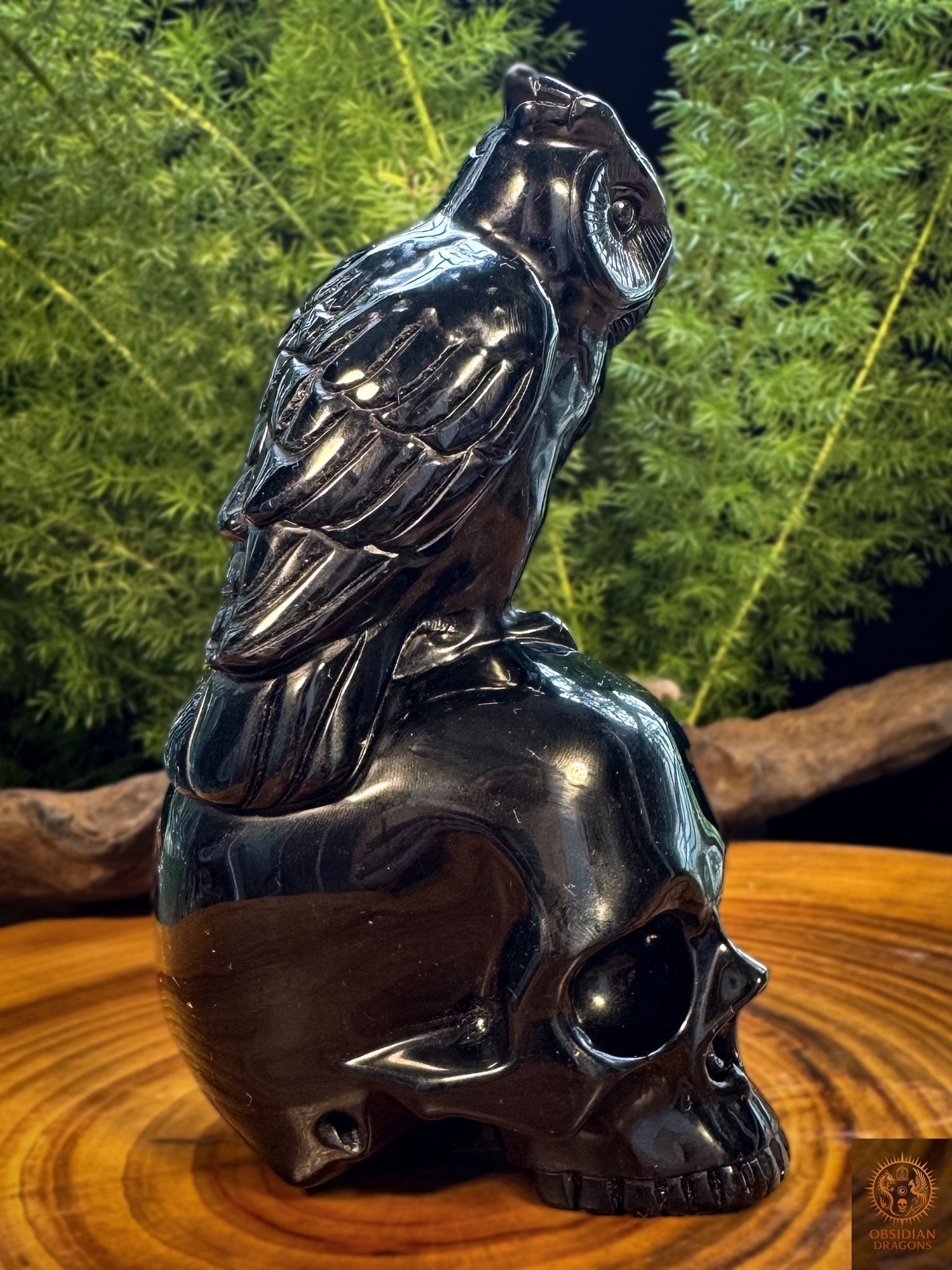 Crâne en obsidienne naturelle et hibou sculpté à la main, vue de profil montrant le plumage et le poli miroir de l’obsidienne noire