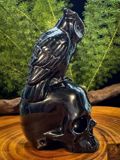 Crâne en obsidienne naturelle et hibou sculpté à la main, vue de profil montrant le plumage et le poli miroir de l’obsidienne noire