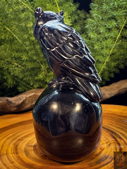 Vue arrière du hibou sur crâne en obsidienne noire, sculpture artisanale monobloc montrant les détails des ailes et du plumage