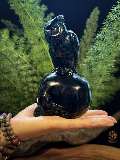 Crâne en obsidienne noire surmonté d’un hibou tenu dans une main, sculpture artisanale de 14 cm en obsidienne naturelle du Mexique - Obsidian Dragons