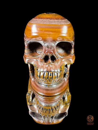 Crâne en œil de fer d’Australie (Tiger Iron) – Pièce unique | obsidian dragons