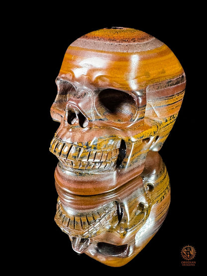 Crâne en œil de fer d’Australie (Tiger Iron) – Pièce unique | obsidian dragons