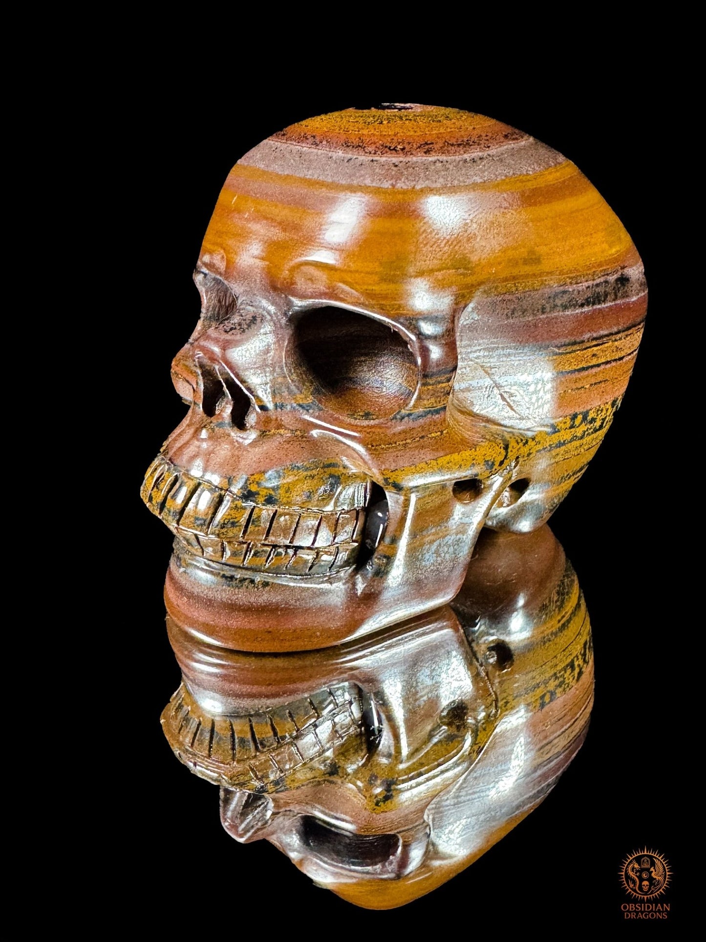 Crâne en œil de fer d’Australie (Tiger Iron) – Pièce unique | obsidian dragons