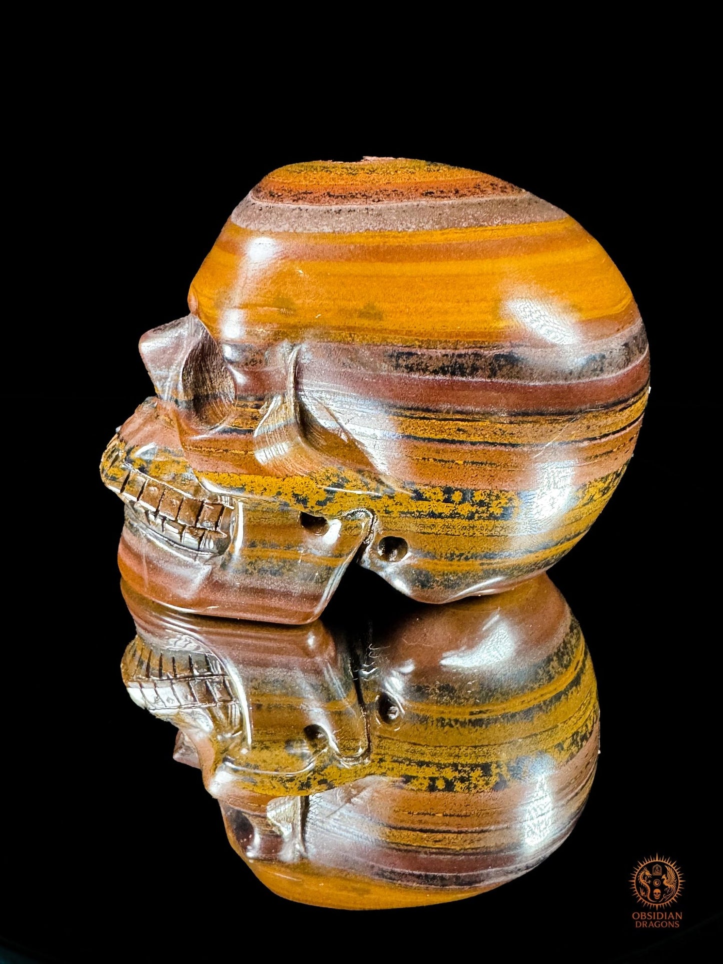 Crâne en œil de fer d’Australie (Tiger Iron) – Pièce unique | obsidian dragons