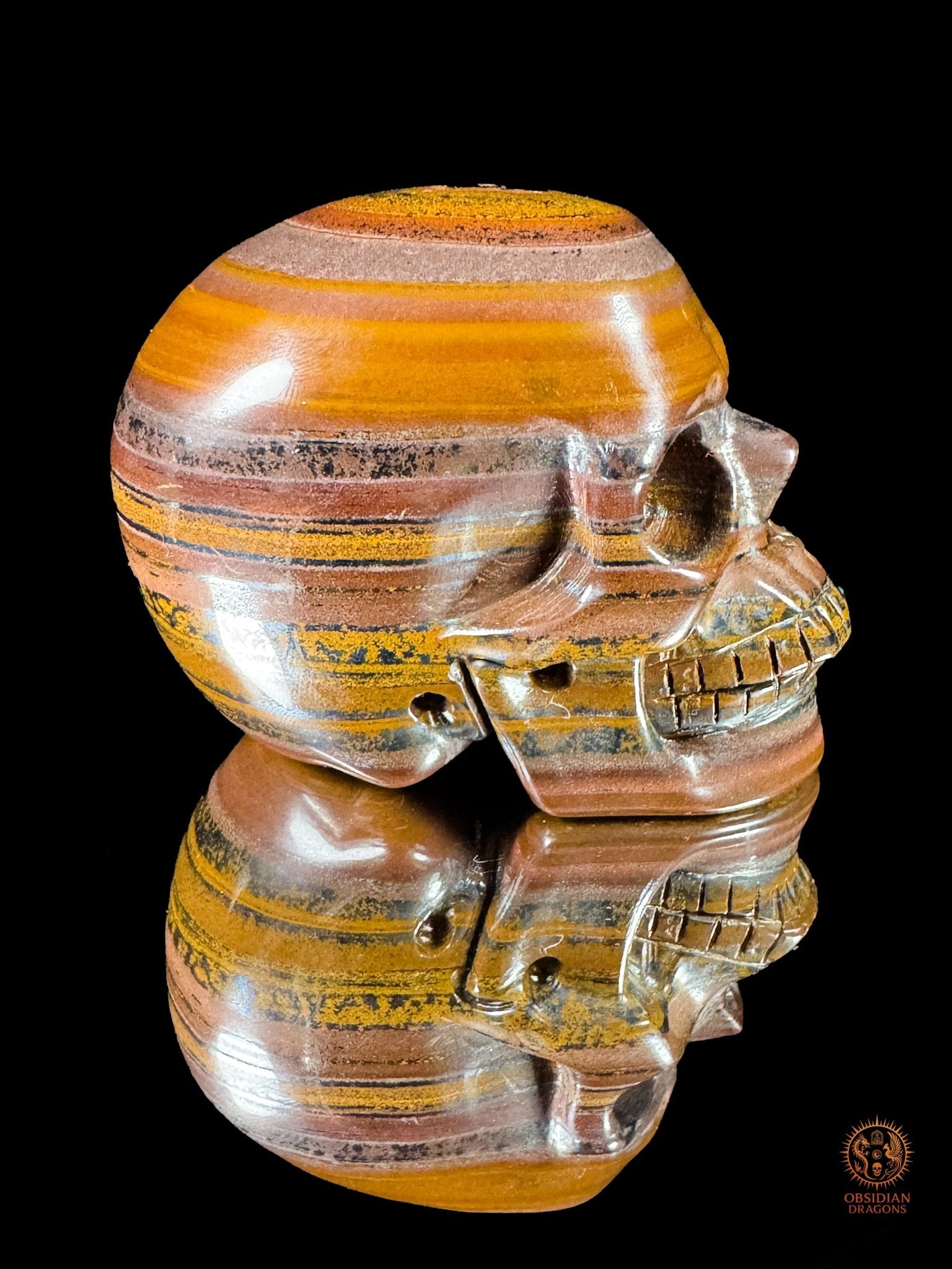 Crâne en œil de fer d’Australie (Tiger Iron) – Pièce unique - obsidian dragons
