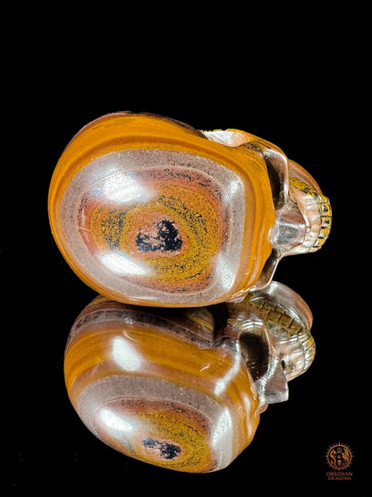 Crâne en œil de fer d’Australie (Tiger Iron) – Pièce unique | obsidian dragons